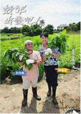 杜卡迪电影网综艺观察栏目节奏专题资讯配图